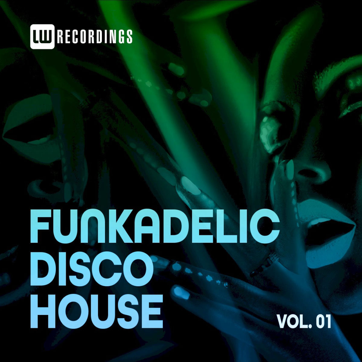 Album cover of Funkadelic Disco House, 01