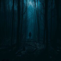 music cover
