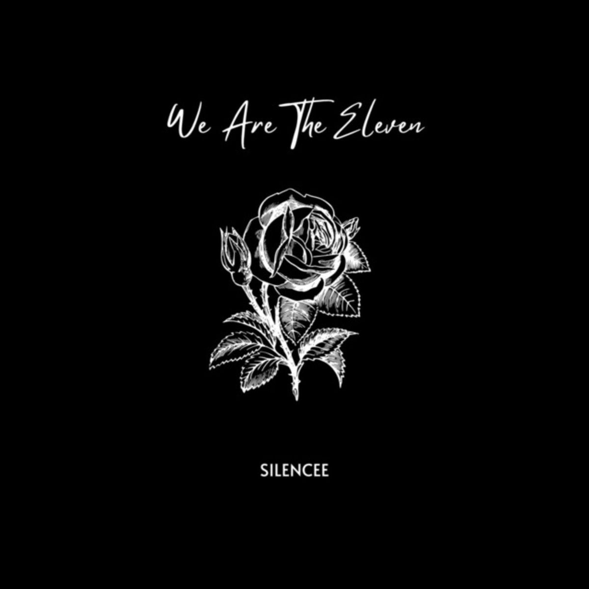 Album cover of We Are the Eleven