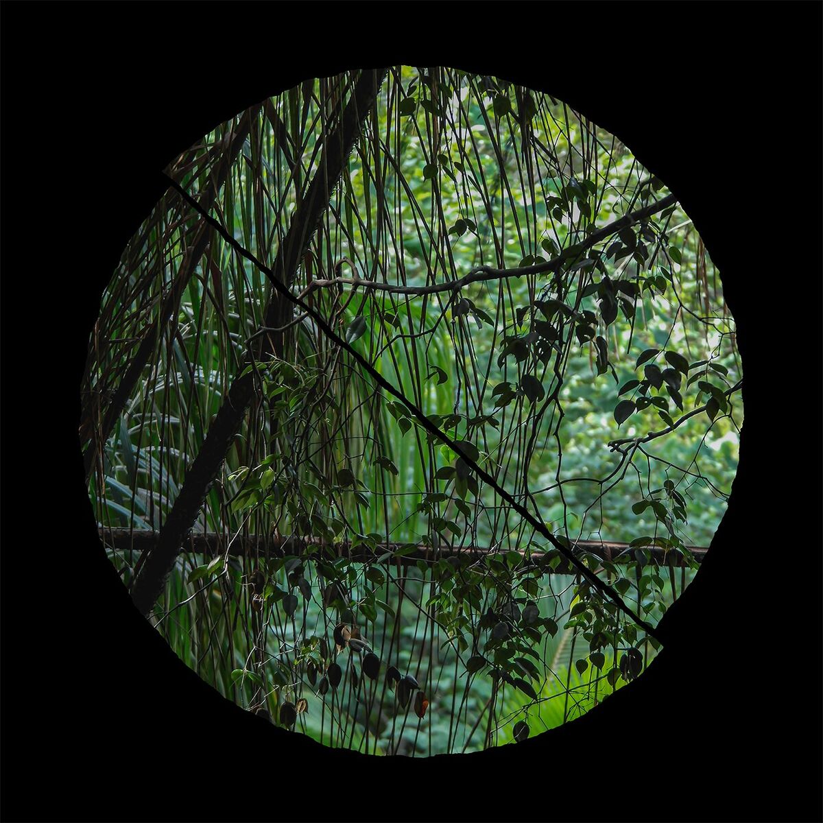 Album cover of Refuge of Majesty