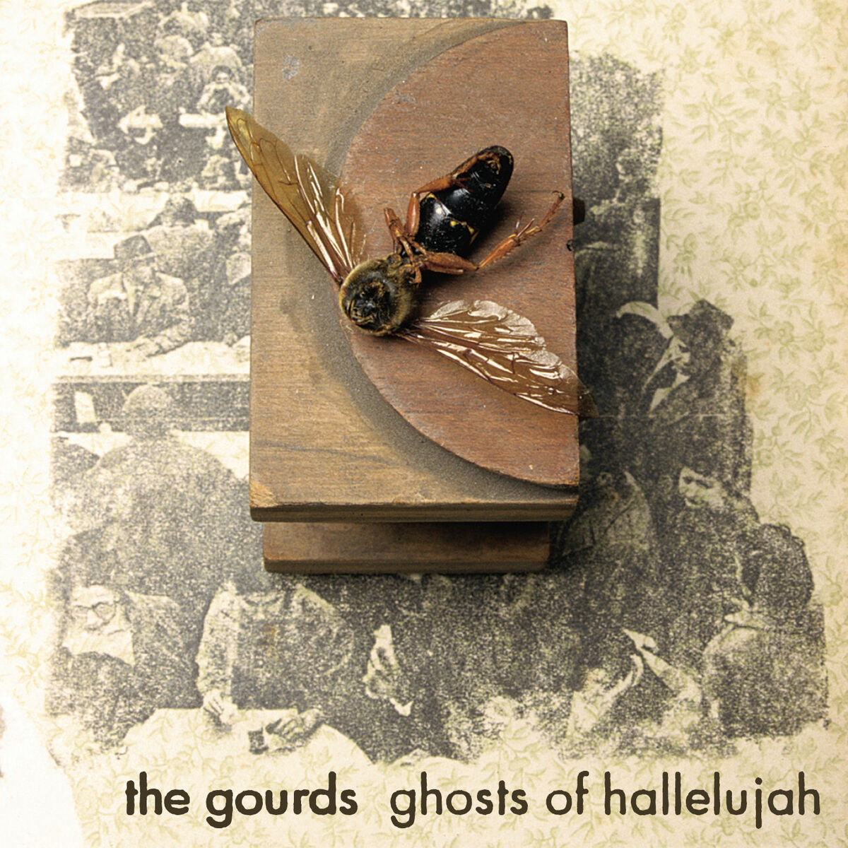 Album cover of Ghosts of Hallelujah
