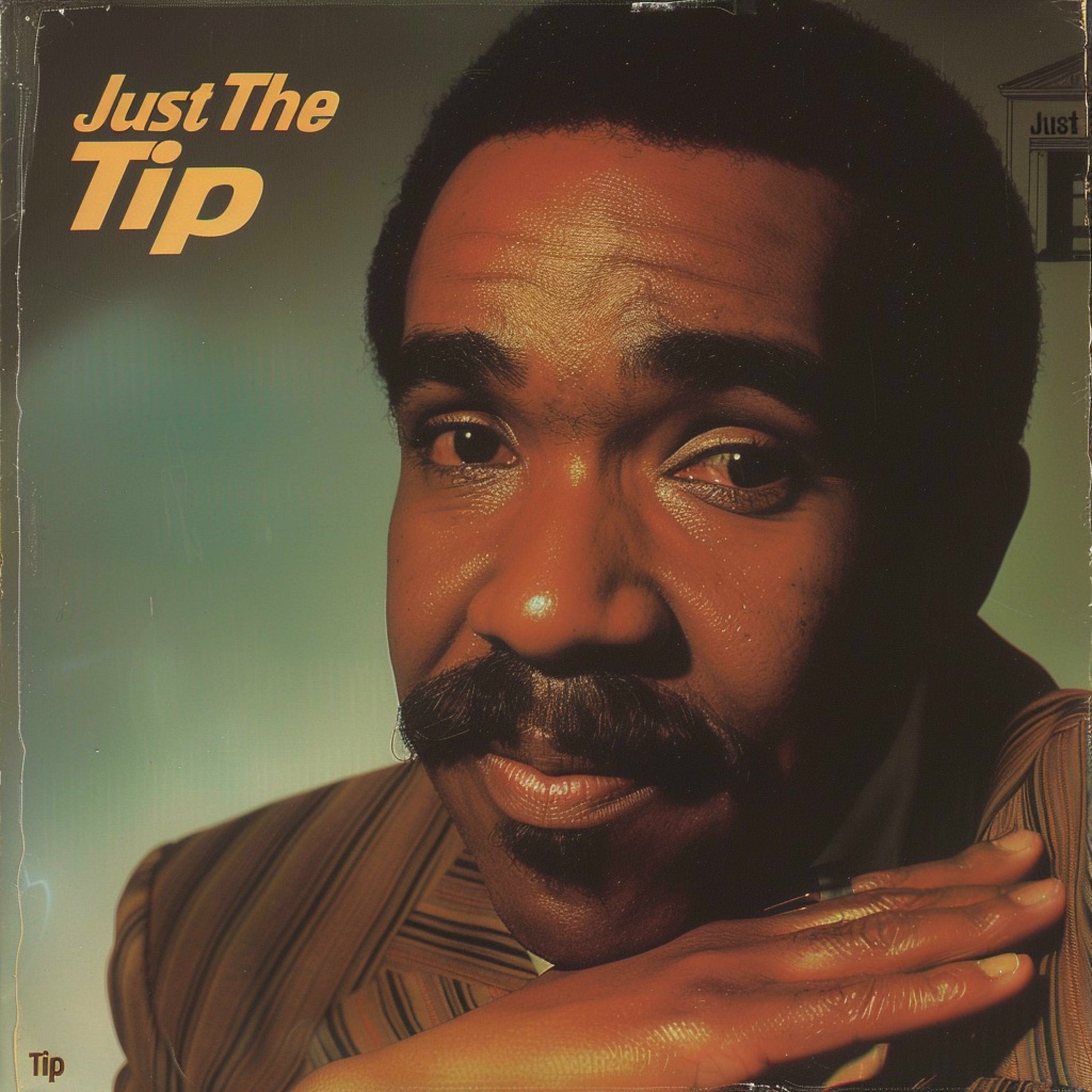 Album cover of Just The Tip