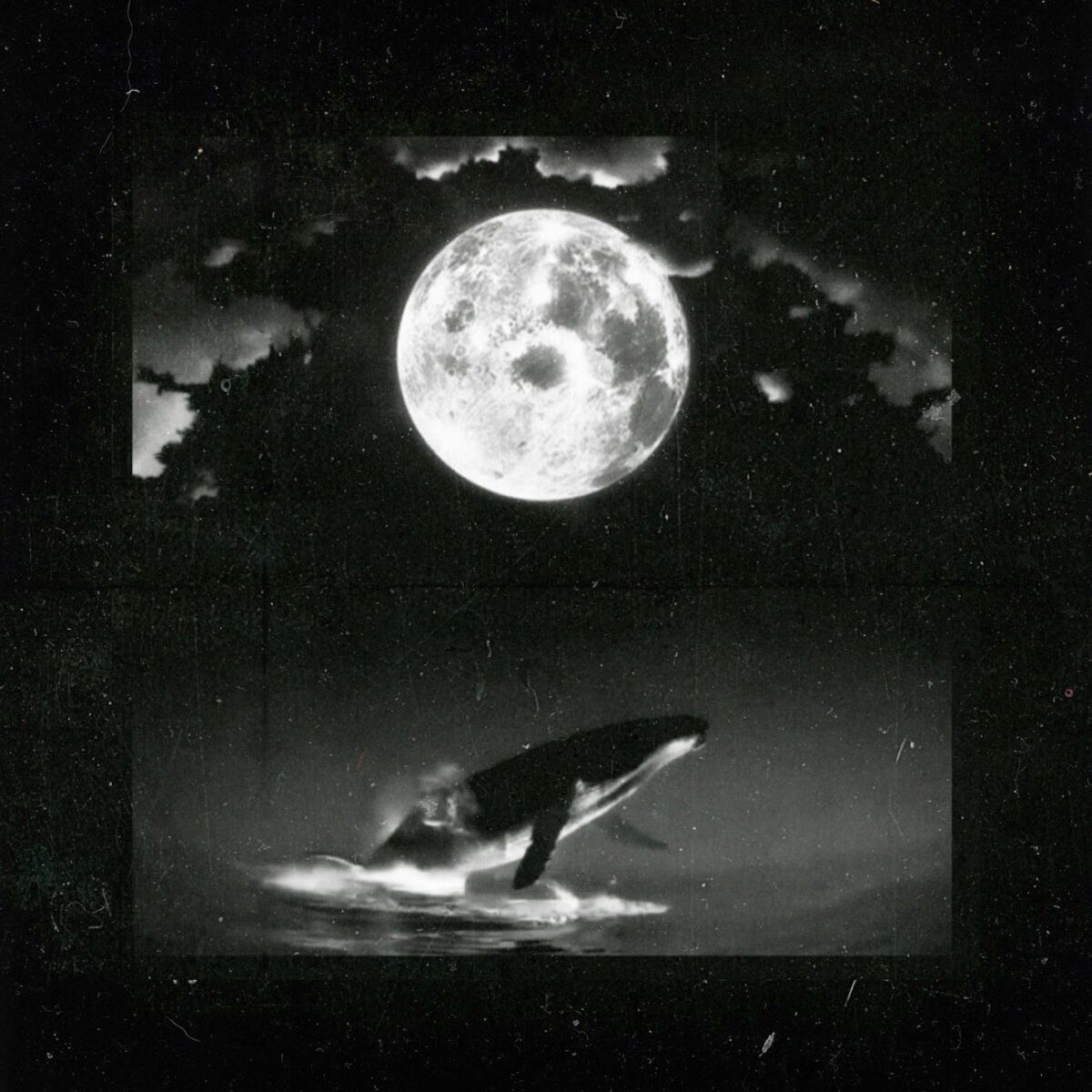 Album cover of How Come?