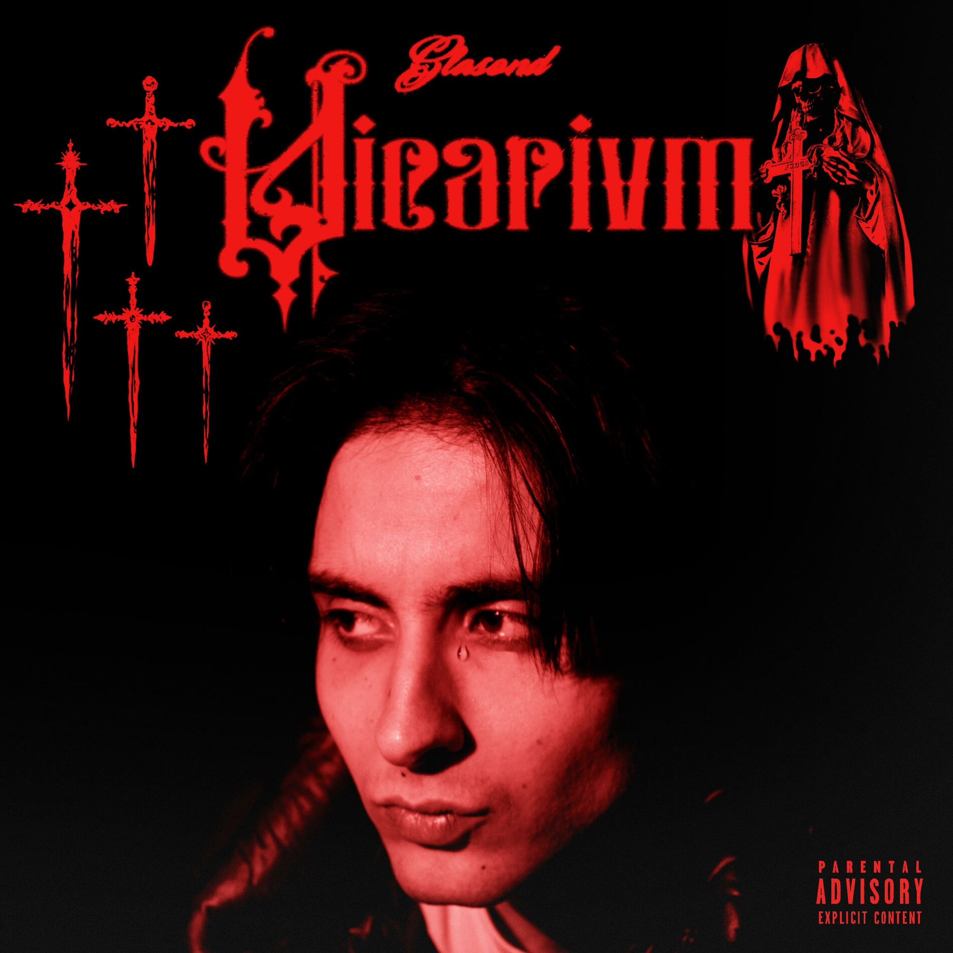 Album cover of Vicarium