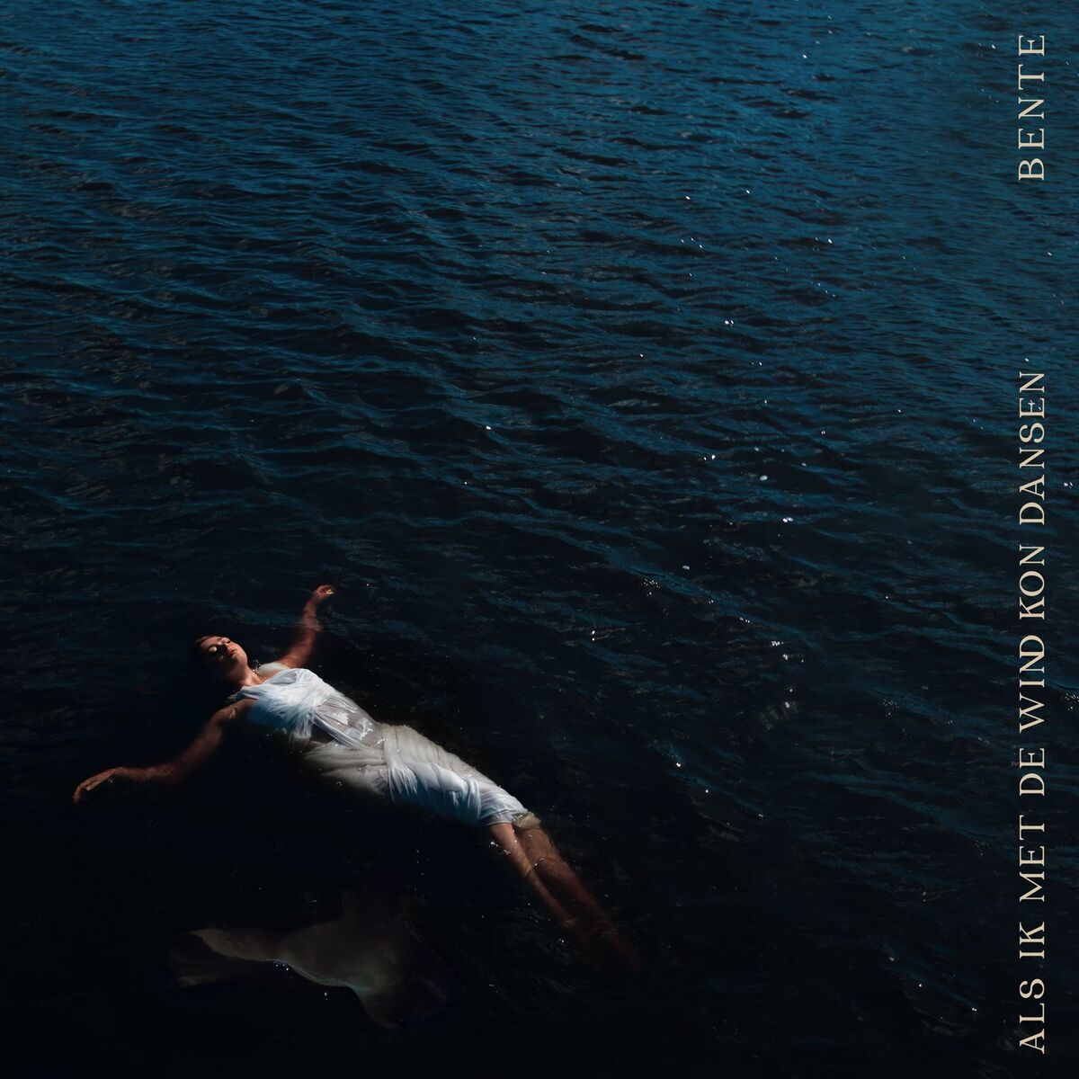 Album cover of Als Ik Met De Wind Kon Dansen