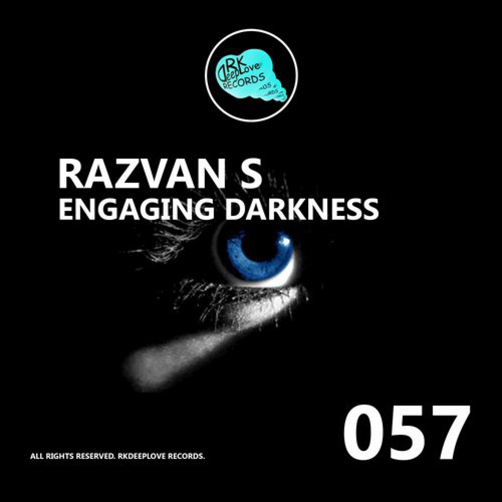 Picture of Engaging Darkness