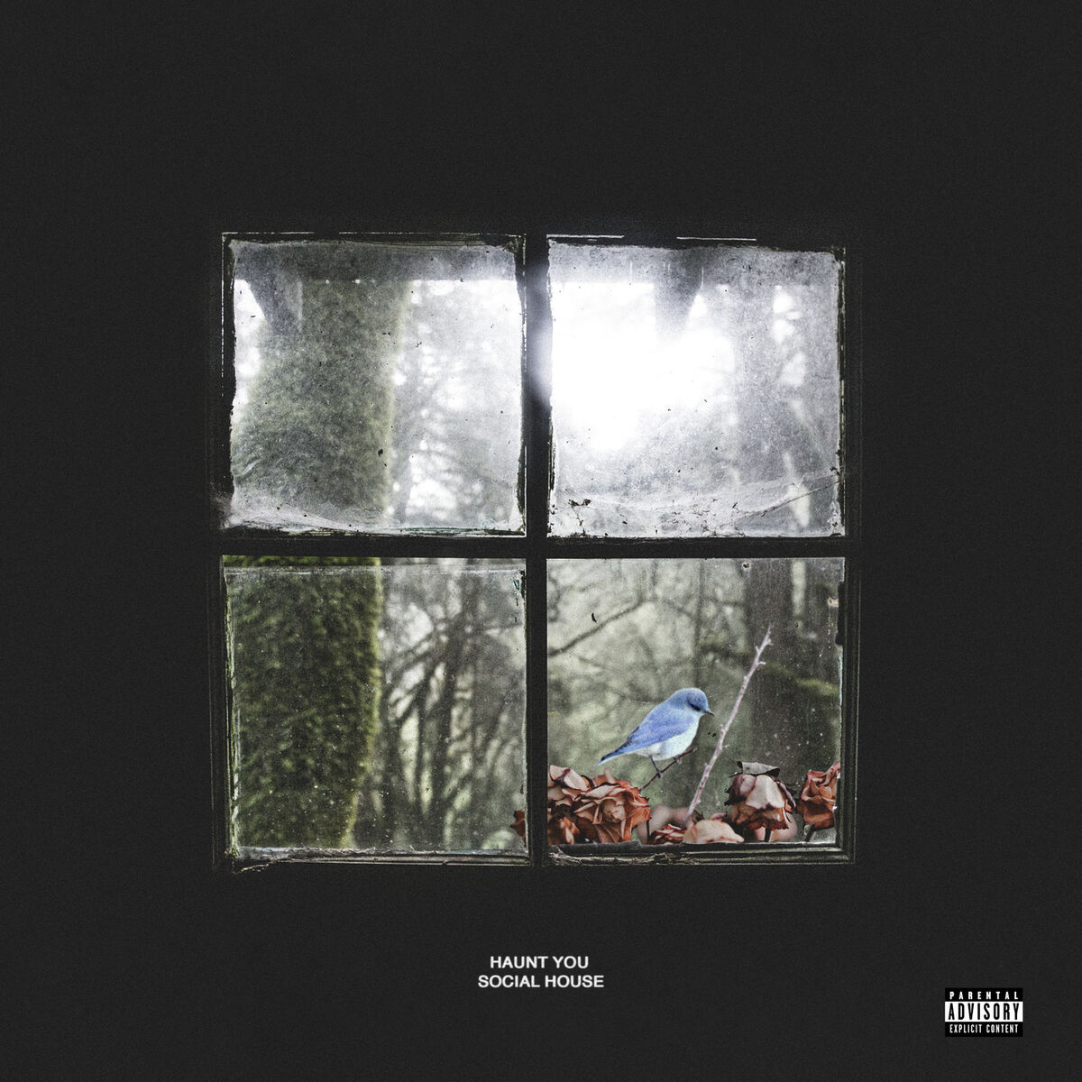 Album cover of Haunt You