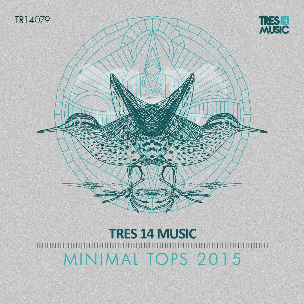 Picture of Minimal Tops 2015