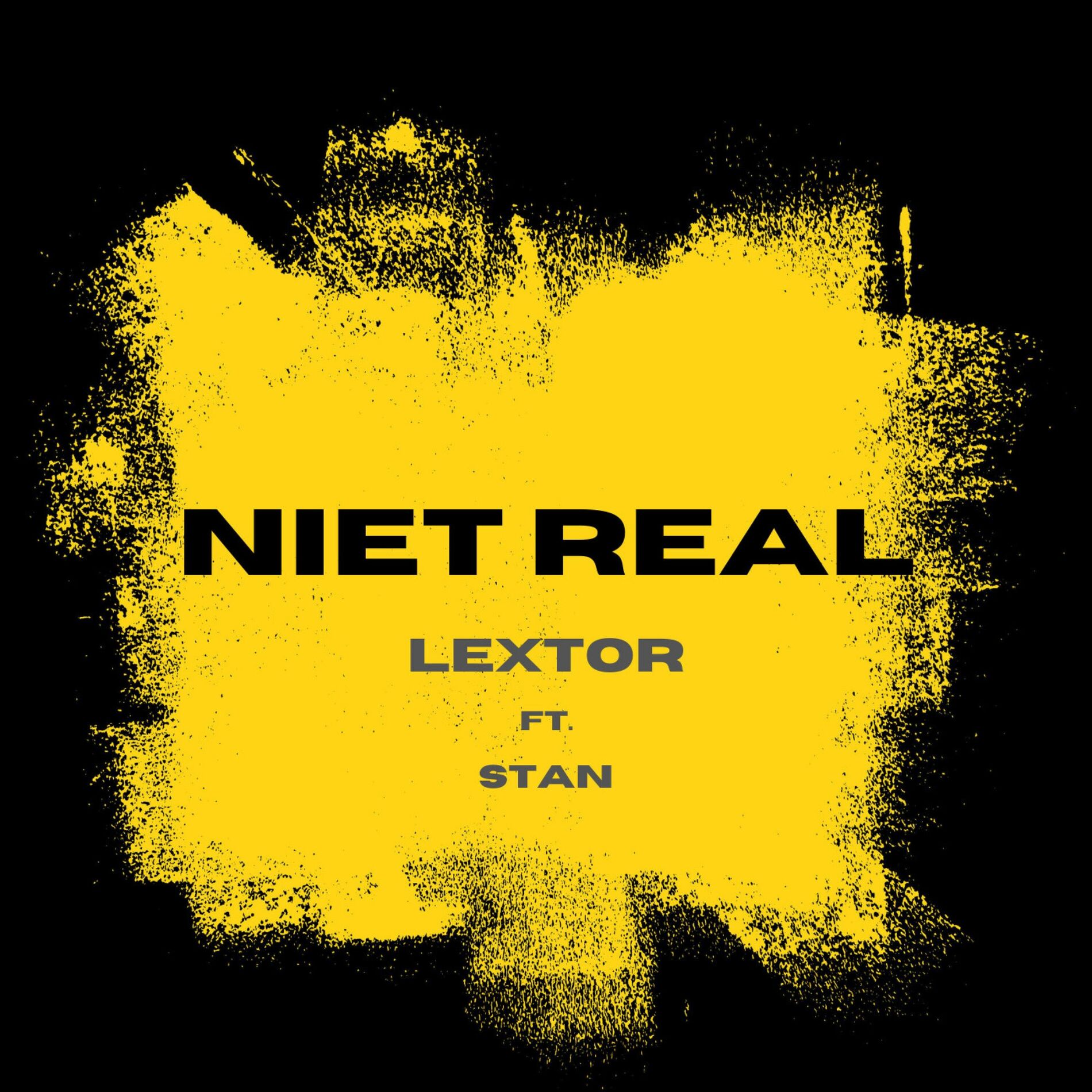 Album cover of Niet Real (feat. Stan)