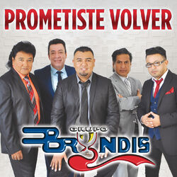 Cover of Prometiste Volver