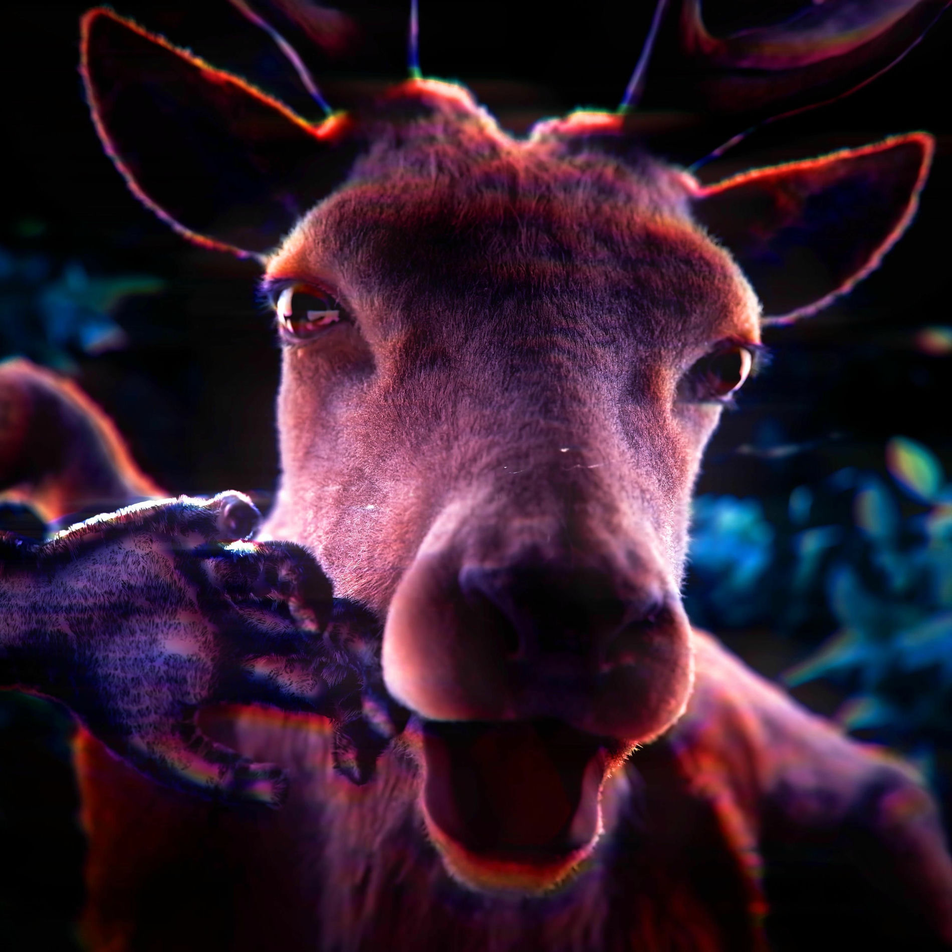 Album cover of Don't Make A Move (99 Nights In The Forest Song)