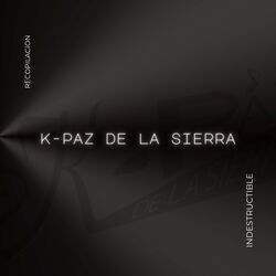 Cover of Indestructible