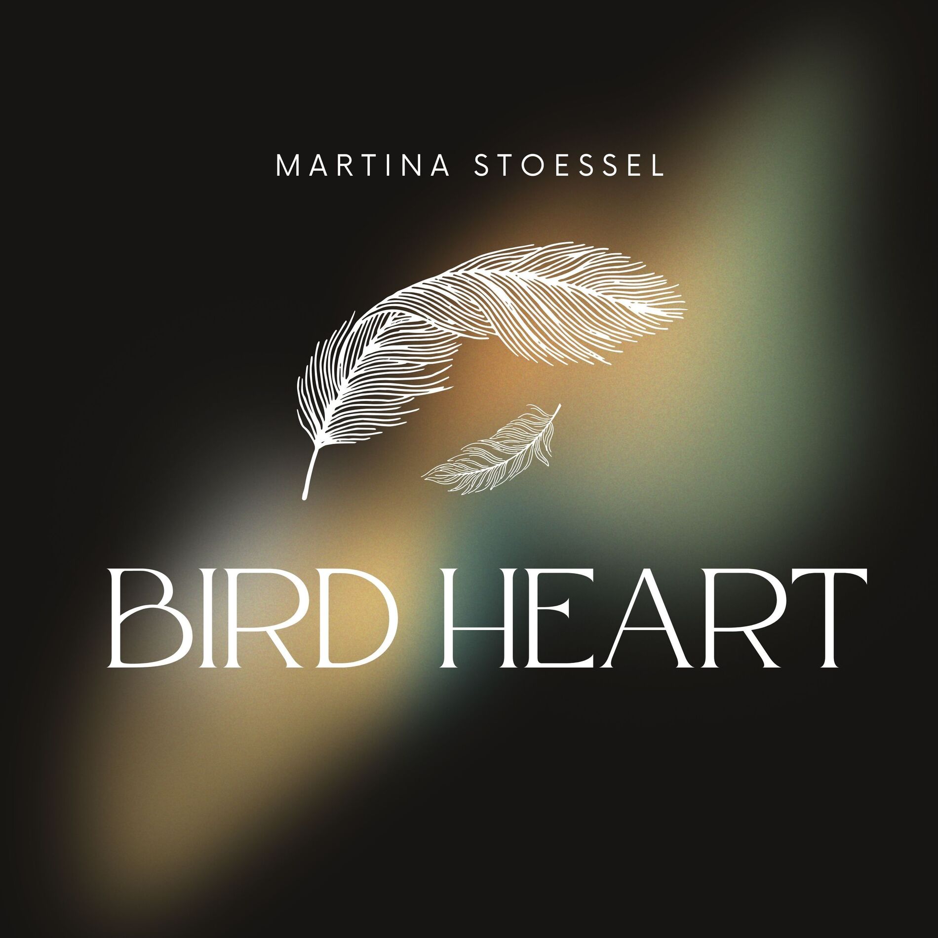 Album cover of Bird Heart