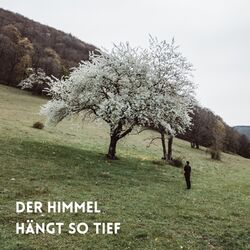 Cover of Der Himmel hängt so tief