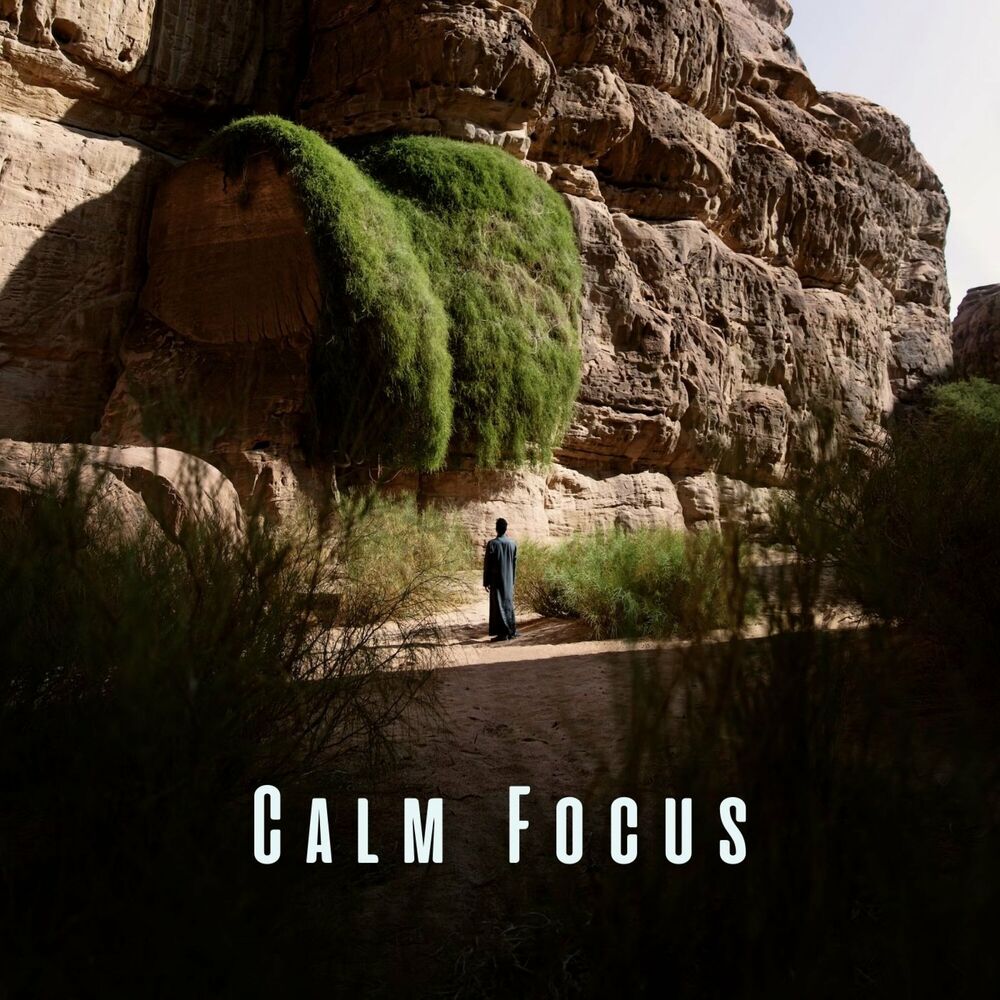 Picture of Calm Focus: Chill Music for Clearing the Mind