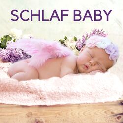 Cover of Schlaf Baby - Schlaf Buch