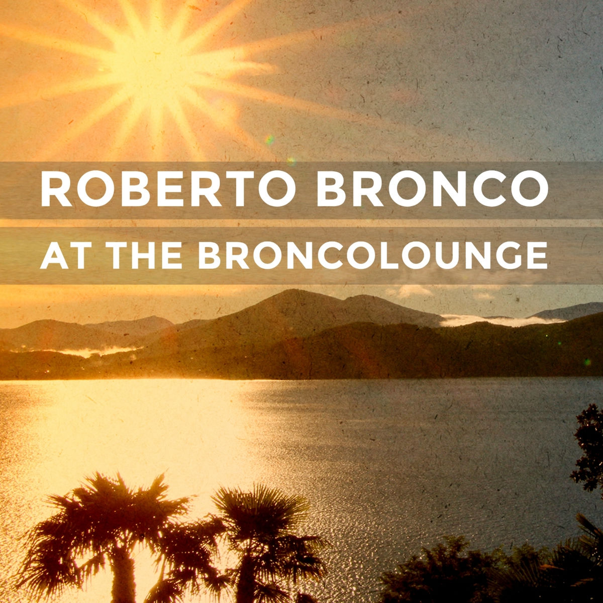 Album cover of At the Broncolounge