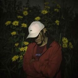 Cover of Pra Sempre