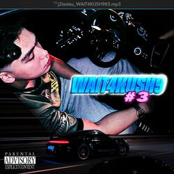 Cover of WAIT4KUSH9 #3