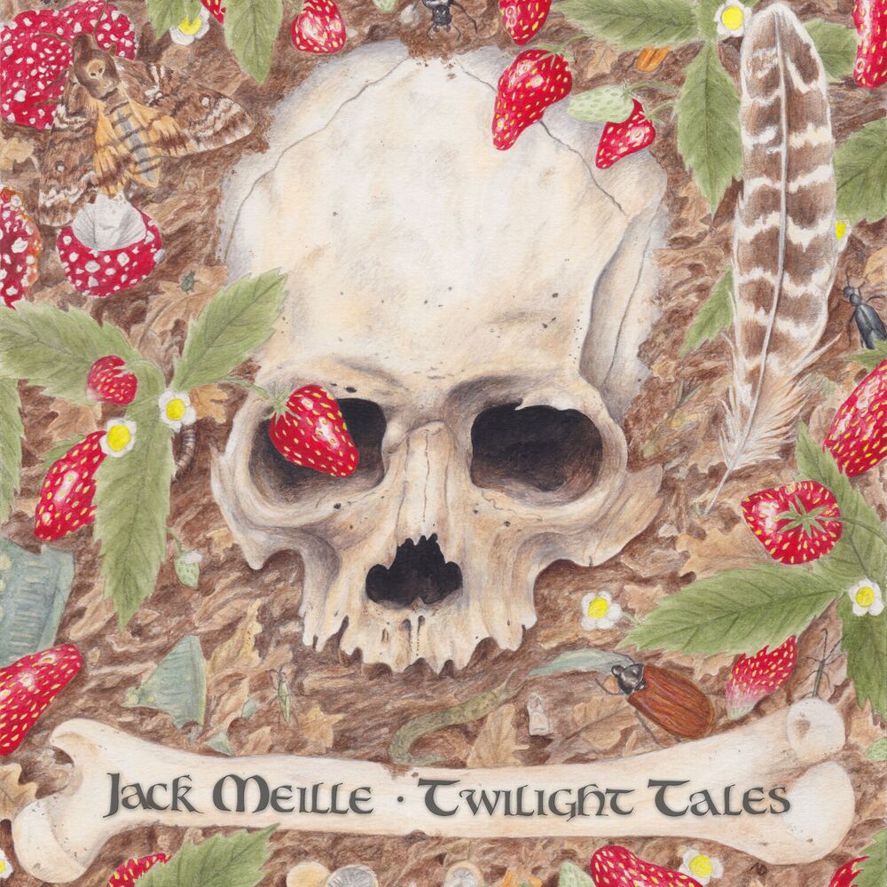 Picture of Twilight Tales