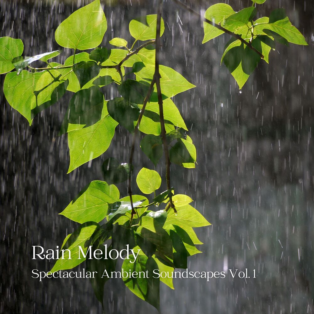 Picture of Rain Melody: Spectacular Ambient Soundscapes Vol. 1