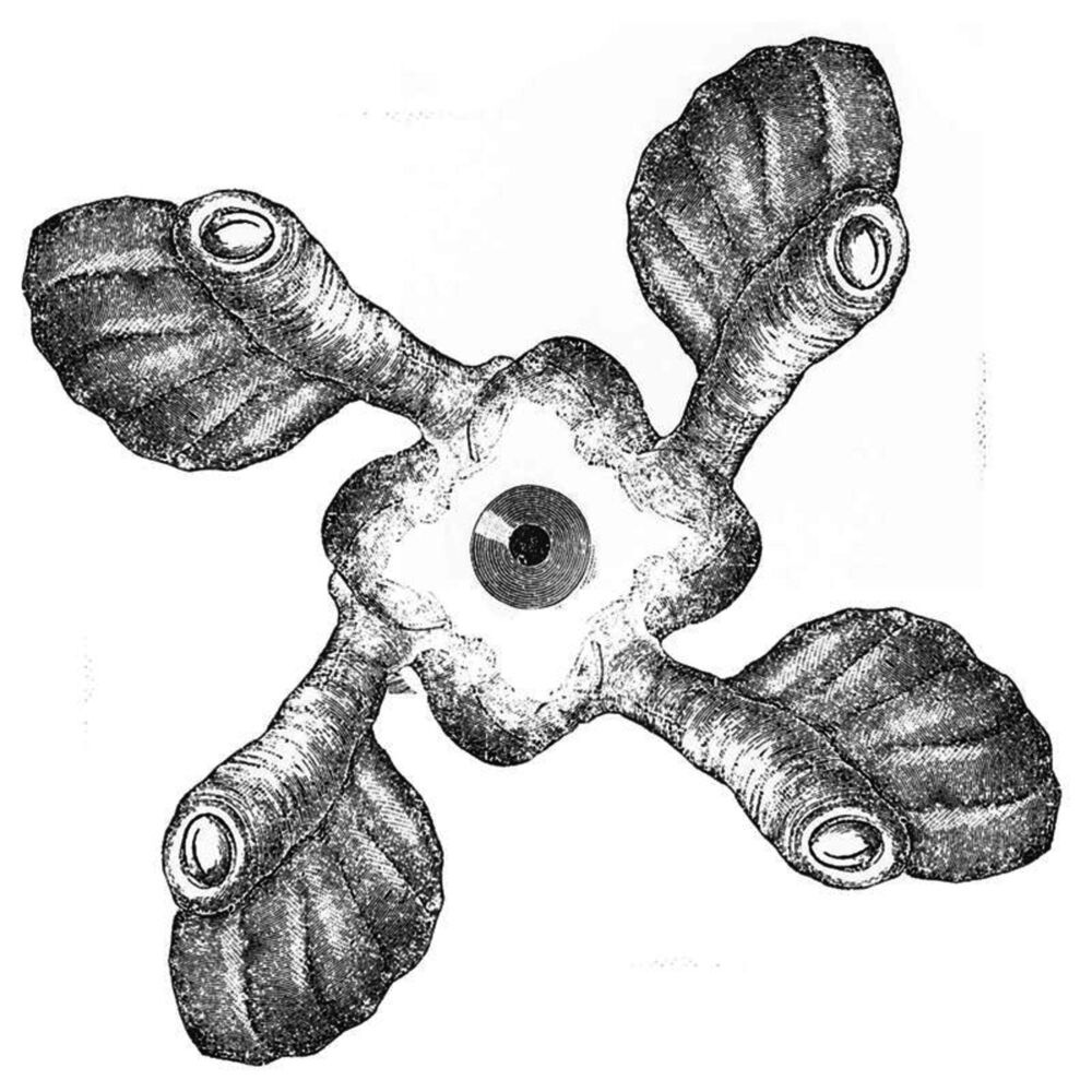 Picture of Friction and Dirt