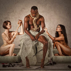 Cover of No Shame