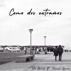 Cover of Como dos extraños