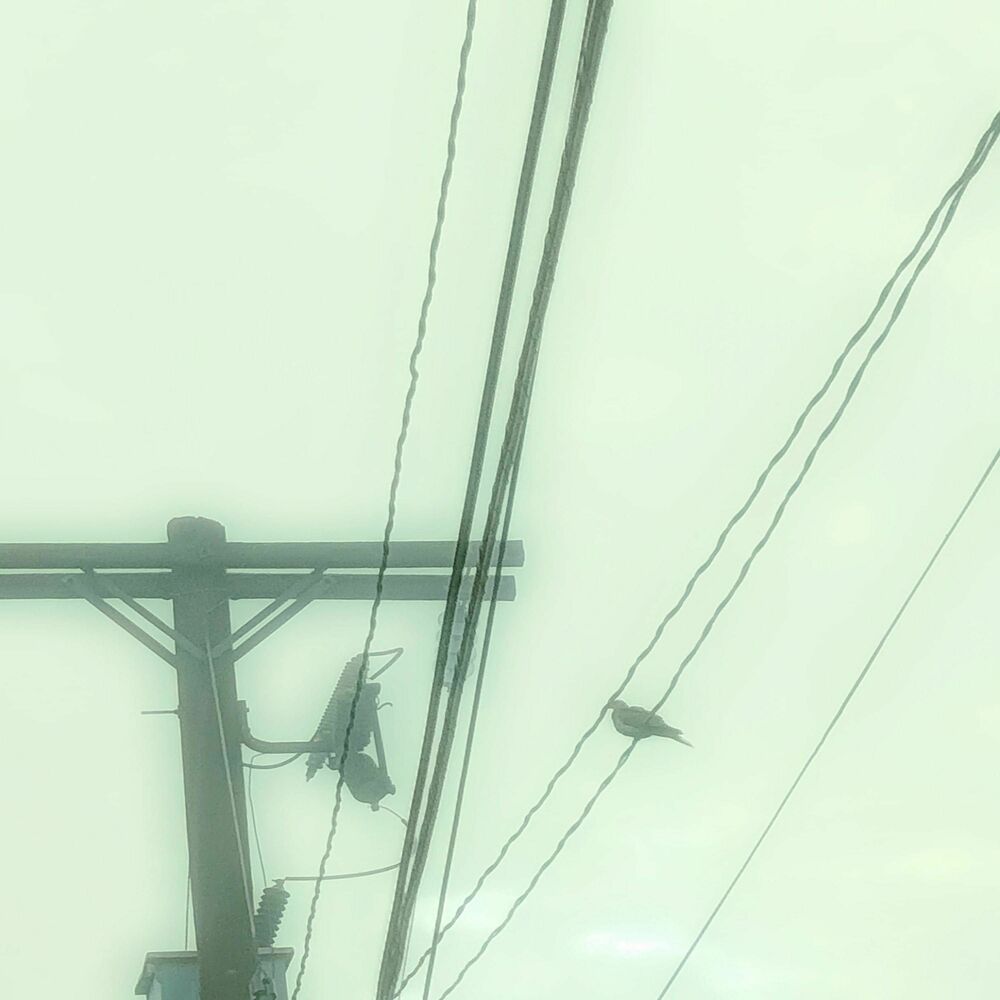 Picture of Empty