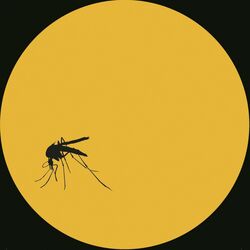 Cover of Yellow Fever 2