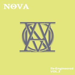 Cover of Re-Engineered, Vol. 3