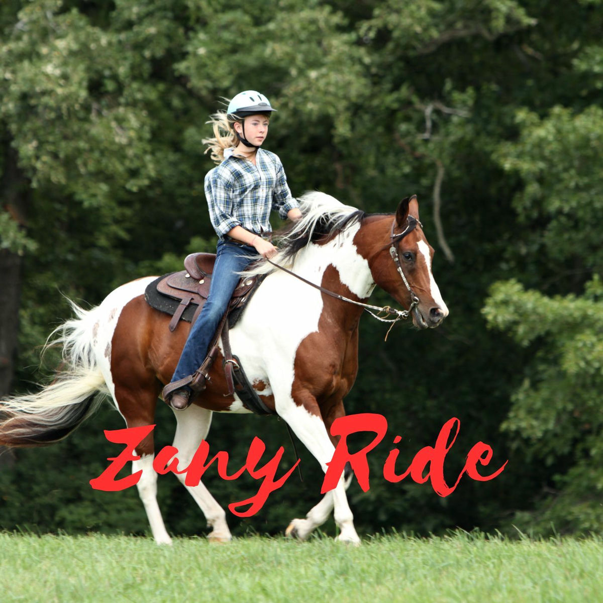 Album cover of Zany Ride