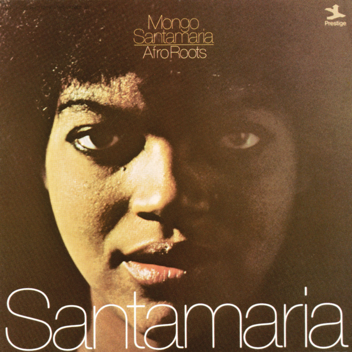 Album cover of Afro Roots
