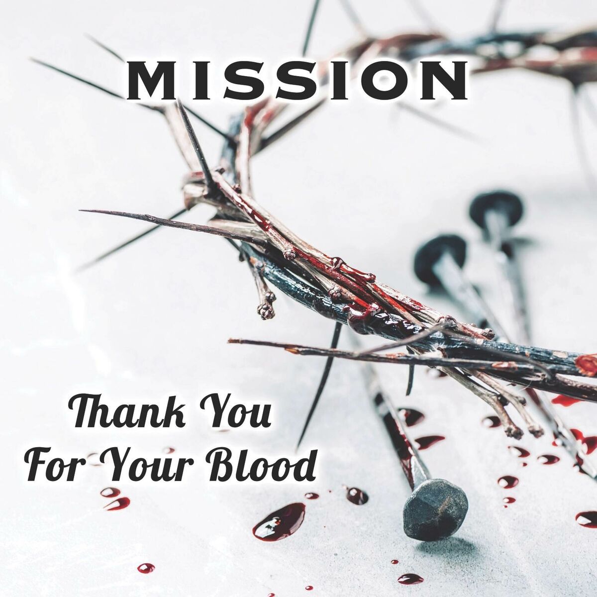 Album cover of Thank You For Your Blood
