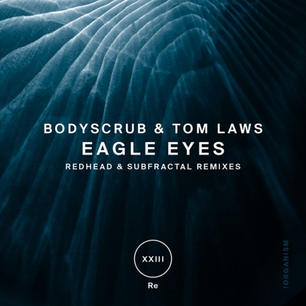 Picture of Eagle Eyes