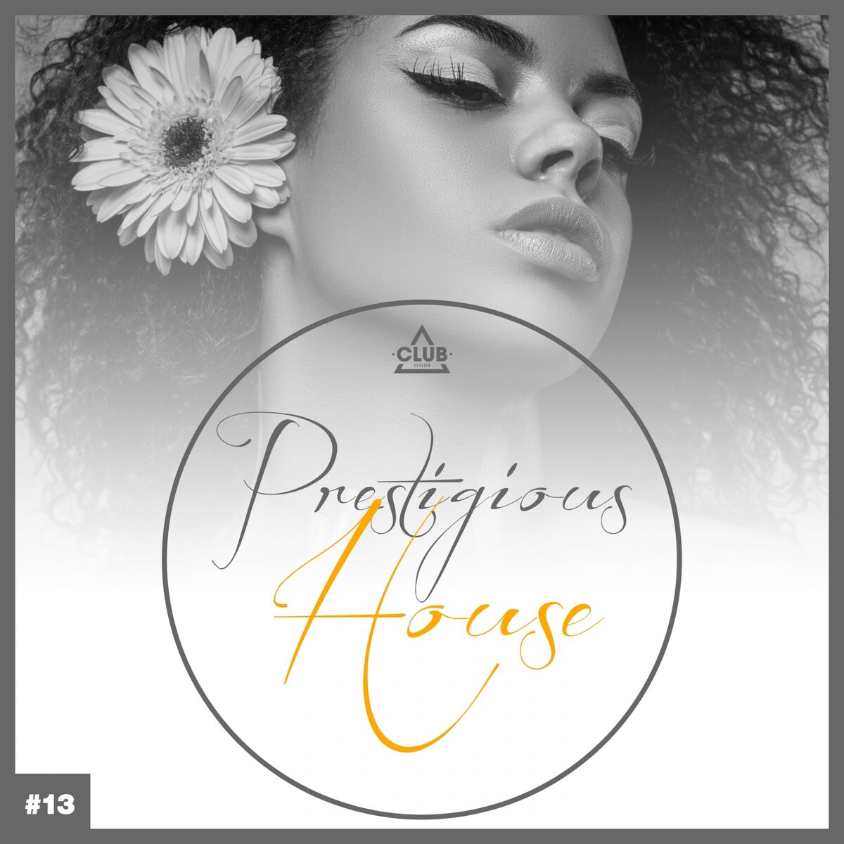 Album cover of Prestigious House, Vol. 13