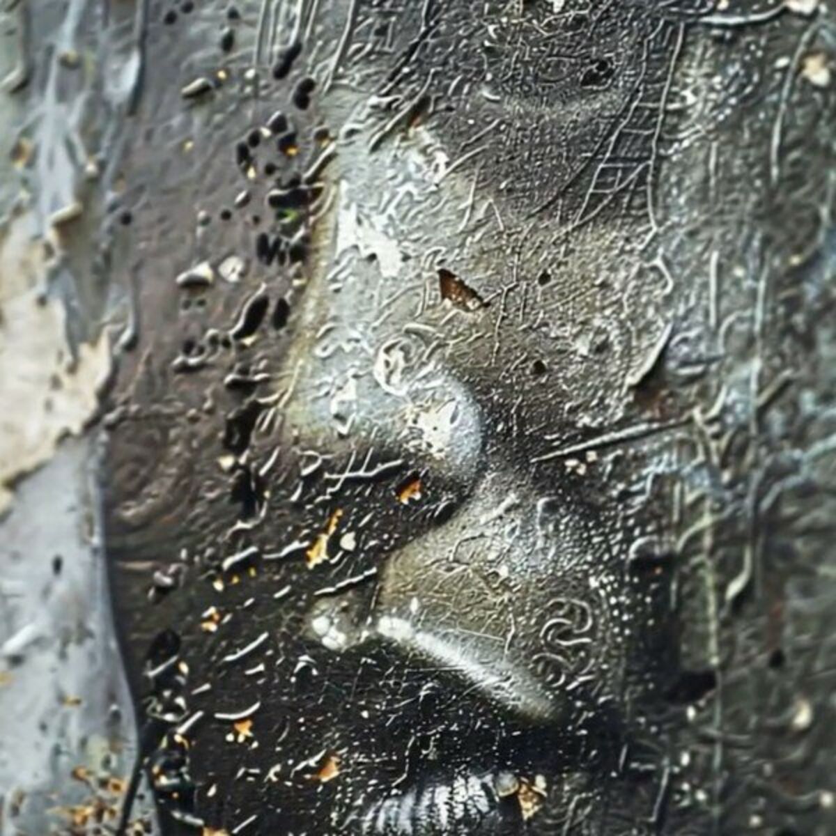 Album cover of Säröjä Pimeässä