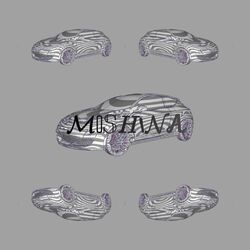 Cover of moshina