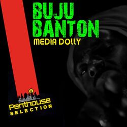 Cover of Media Dolly