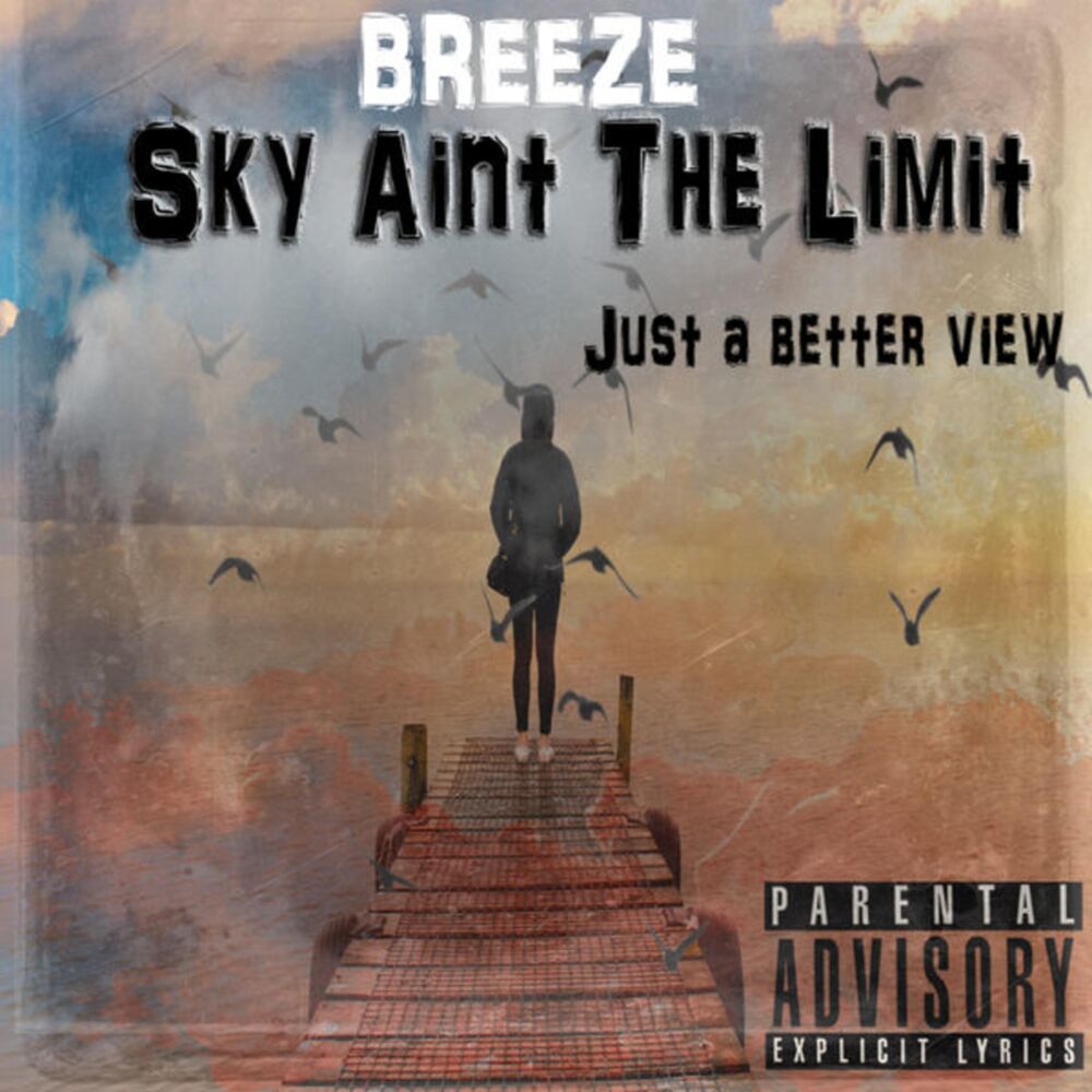 Picture of Sky Ain't the Limit