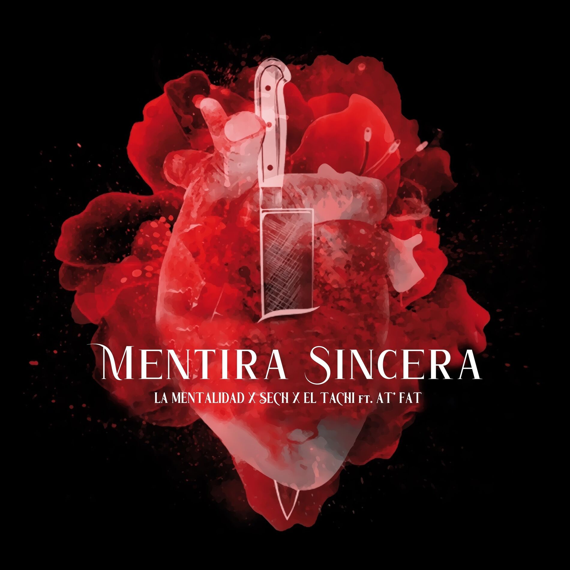 Album cover of Mentira Sincera
