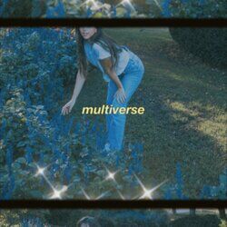 Cover of multiverse