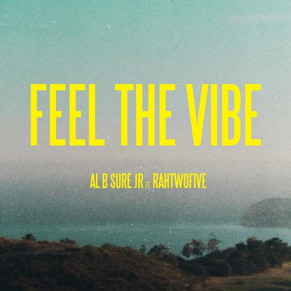 Picture of Feel The Vibe (feat. RahTwoFive)