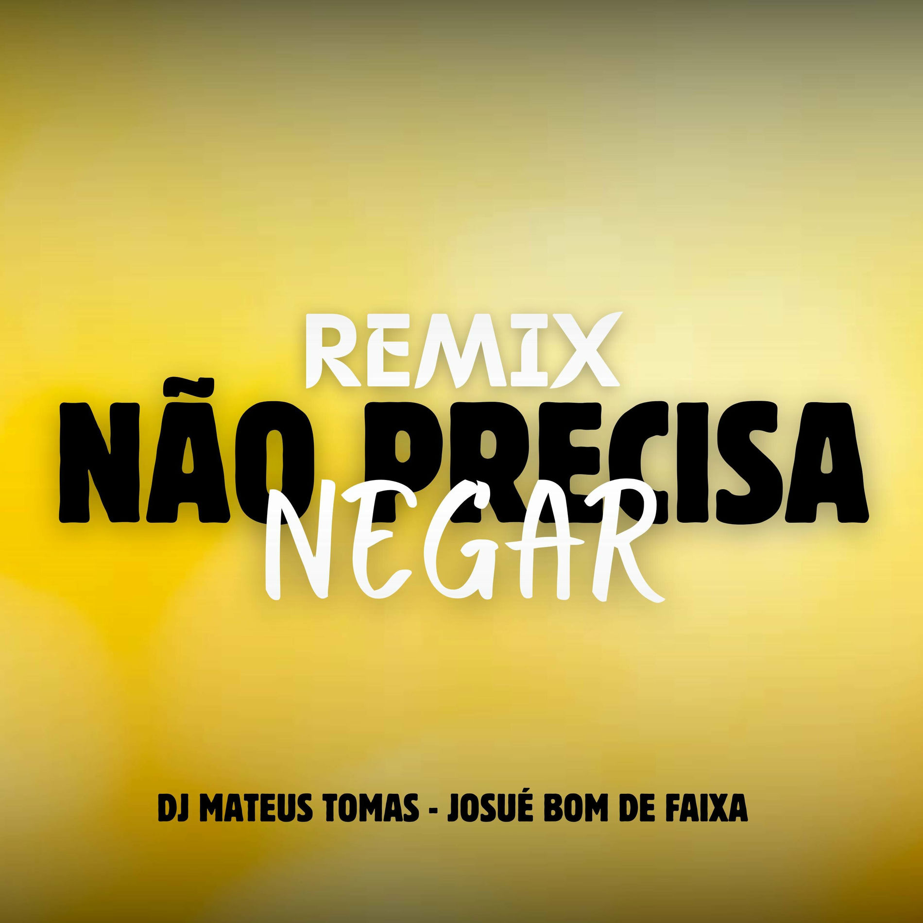 Album cover of Não Precisa Negar