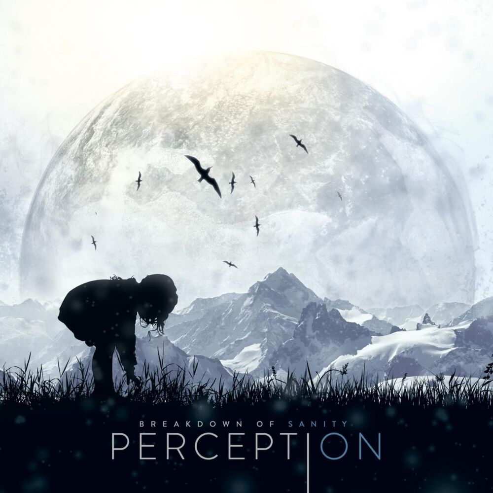 Picture of Perception