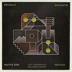 Cover of Native Son Remixes