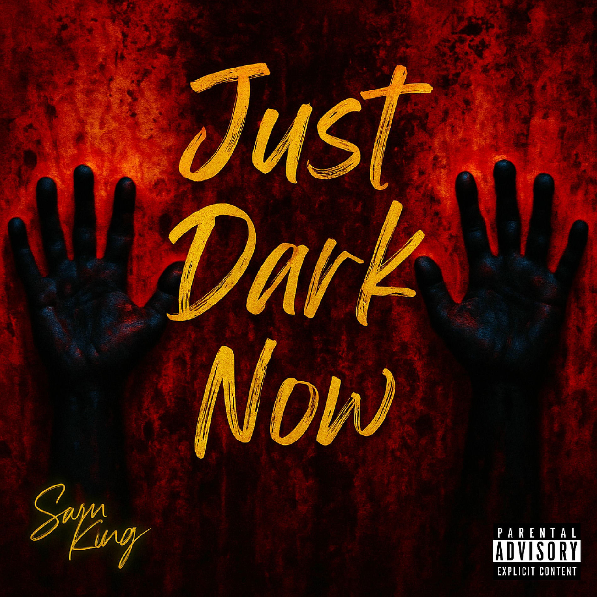 Album cover of JUST DARK NOW