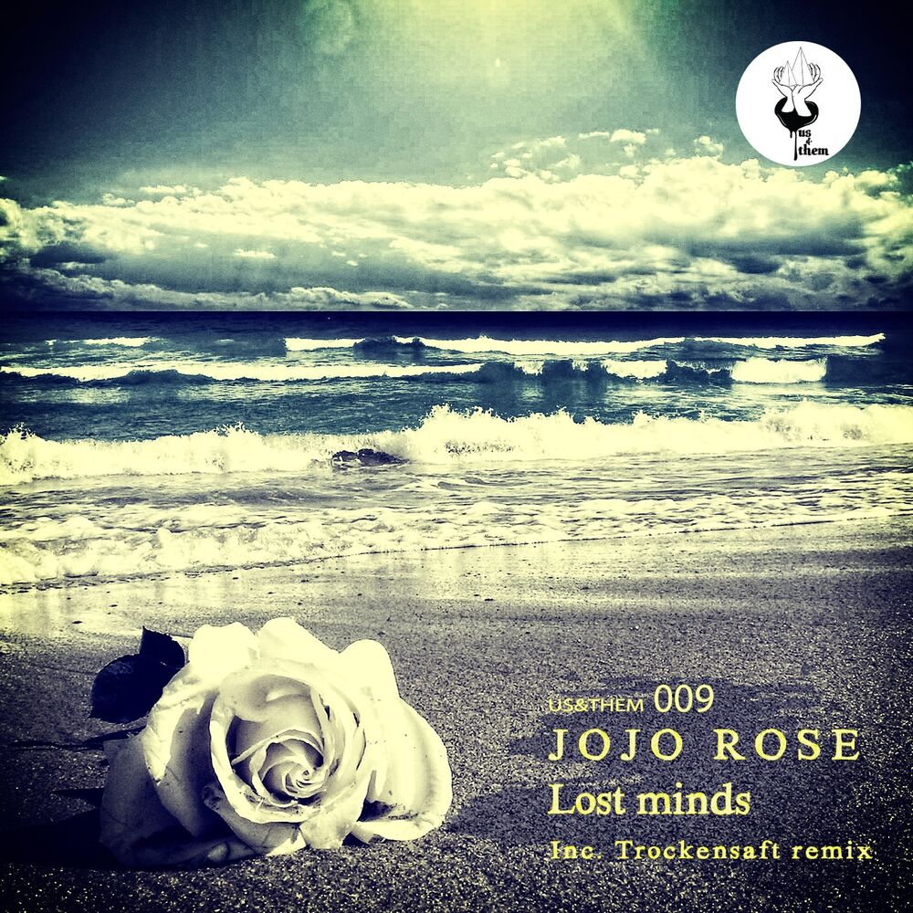 Picture of Lost Minds