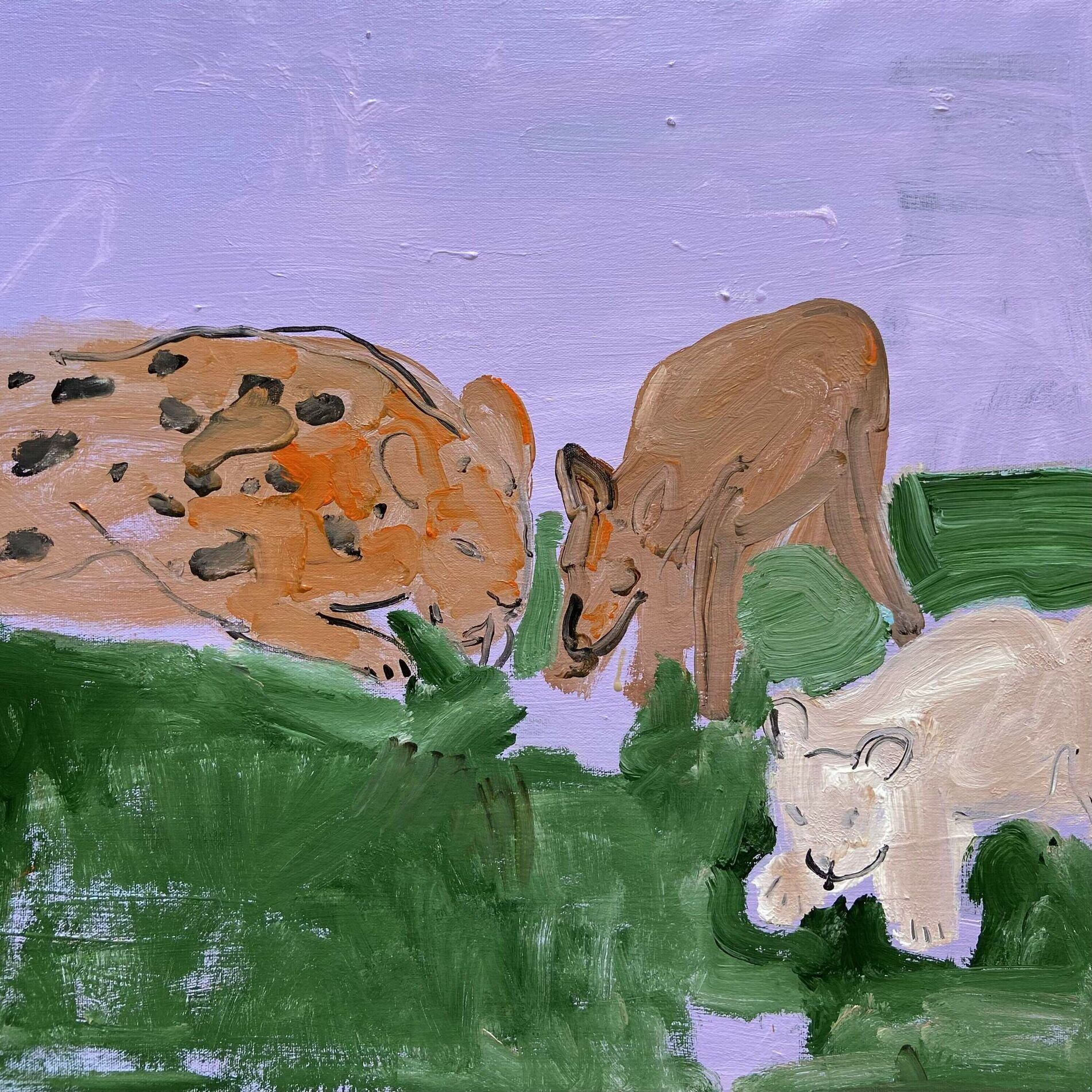 Album cover of Животные пьют из луж