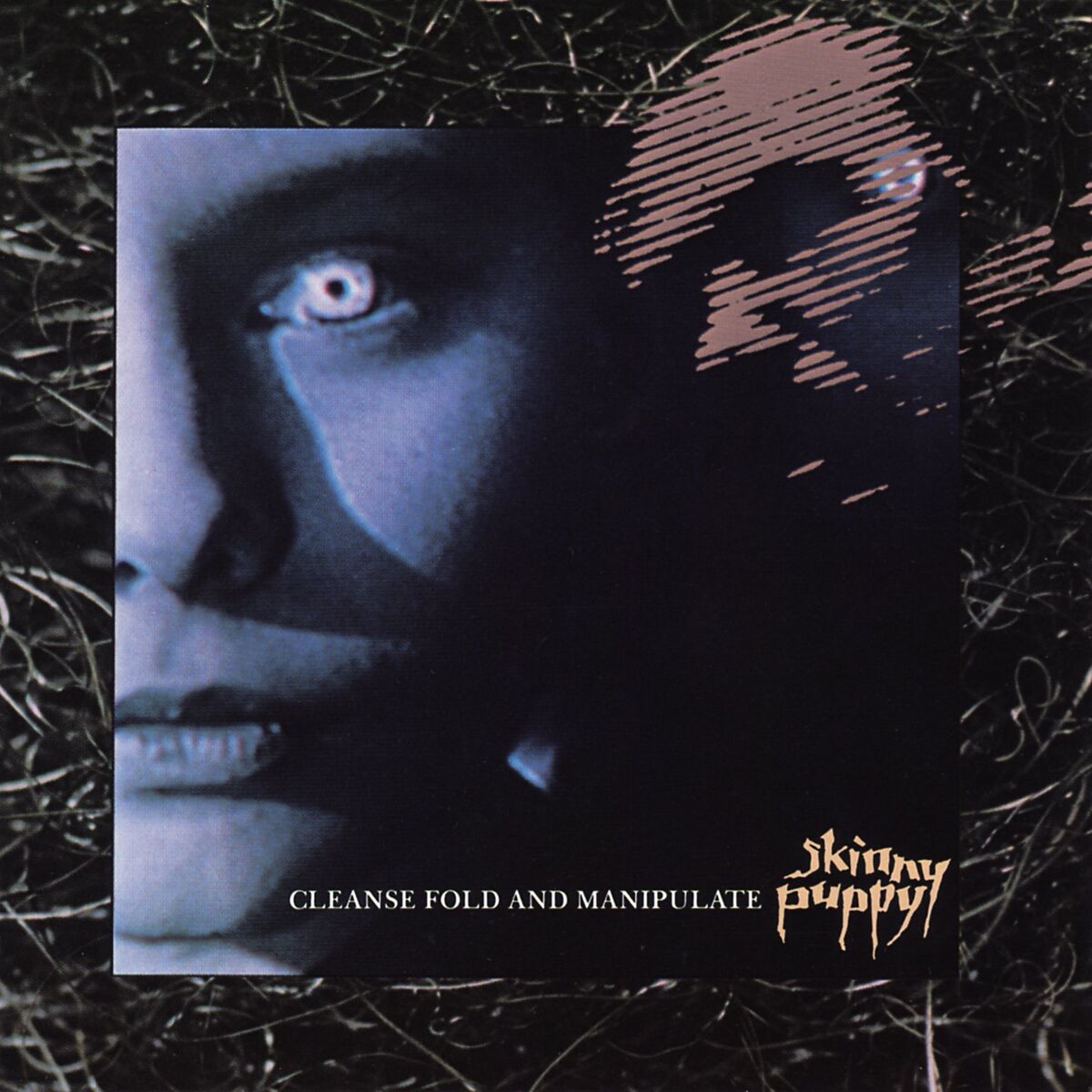 Album cover of Draining Faces